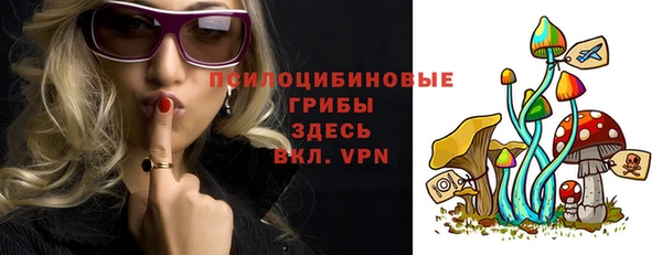 прущие крисы Новозыбков