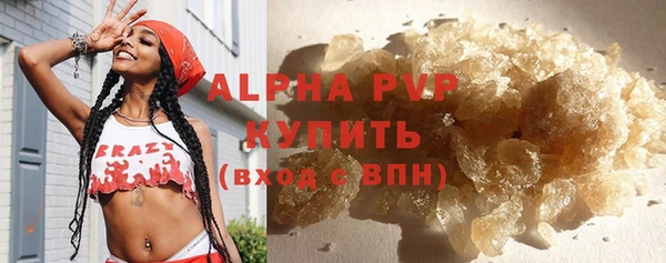 сатива Алексеевка