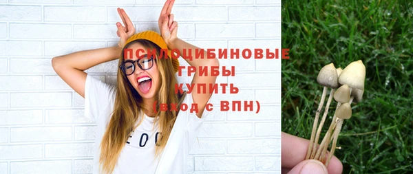 сатива Алексеевка